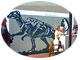 Hadrosaurus display